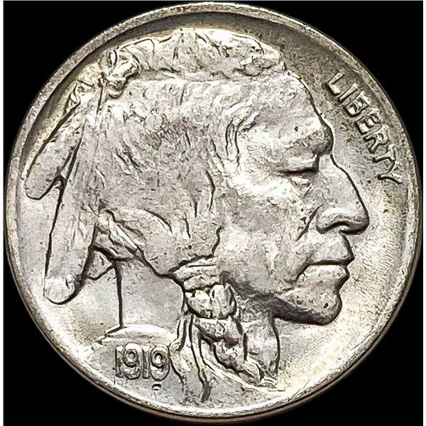 1919 Buffalo Nickel CHOICE BU