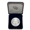 Image 2 : 2020 Silver Eagle