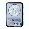 Image 2 : 2015 Silver Eagle NGC MS70 First Releases