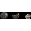 Image 1 : [3]103-76 BC Biblical Widow's Mite, Luke 21:1-4 NEARLY UNCIRCULATED