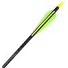 Image 1 : NEW 6 EASTON GAMEGETTER 400 ARROW CUT TO 29"