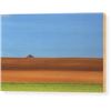 Image 1 : NEW W BOX FINE ART THE TRACTOR MASSIMO DELLA LATTA