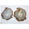 Image 1 : PAIR OF 6 INCH AGATE SLICES