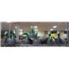 Image 1 : COLLECTION OF GOOSE DECOYS