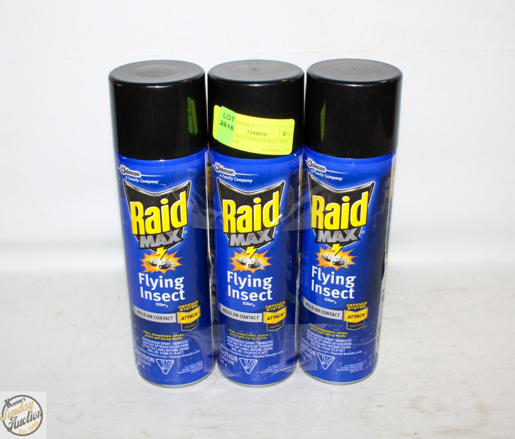NEW 3 CANS JOHNSON RAID MAX 500G EACH