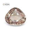 Image 1 : Unique 0.98 Ct GIA Certified Natural Sapphire