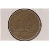 Image 1 : 1858 FLYING EAGLE CENT