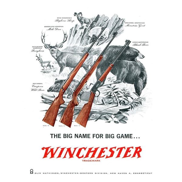 Winchester Big Game