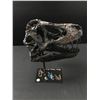 Image 1 : LARGE JURASSIC PARK MULTI SIGNED RESIN DINOSAUR SKULL DISPLAY  (KB COA)