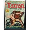 Image 1 : DC COMICS TARZAN OF THE APES 1ST ISSUE