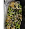 Image 2 : Ladie's Wildlife Motif Clutch w/Box