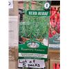Image 1 : Lot of 5 Packs  Mr. Fothergill’s Rosemary Herb Seed Packs