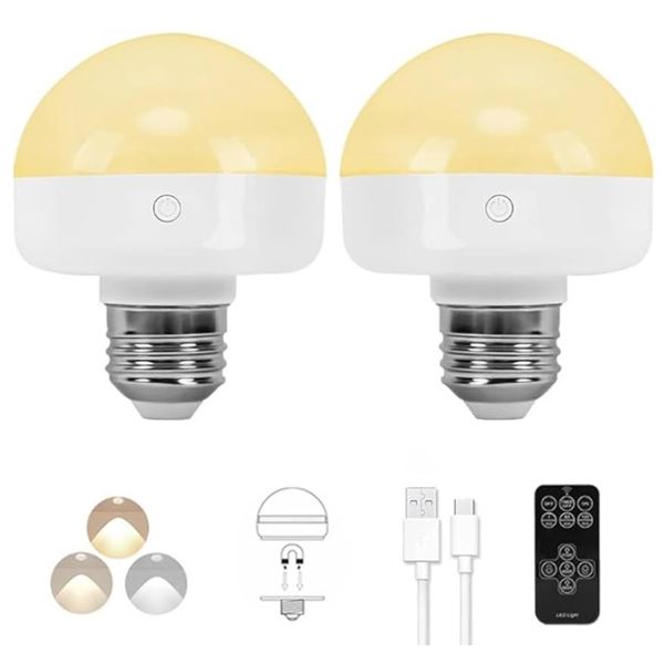 Blueye Rechargeable Light Bulb with Detachable Charging and 6-Hour Runtime