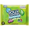 Image 1 : Jolly Rancher Gummies Sours, 12 x 96 g Candy Assortment