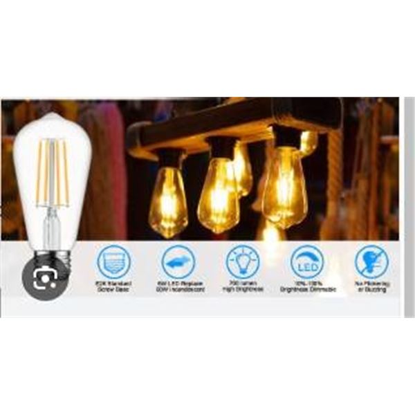 LED Edison Bulb 60W Equivalent, ST58 Non-Dimmable, 6W, 6-Pack