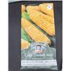 Image 1 : Mr. Fothergill’s Corn (Sweet) Ambrosia F1 Seeds – Lot of 5