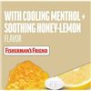 Image 1 : Fisherman’s Friend Honey-Lemon Sugar Free Lozenges 8 x 22 ct Packets