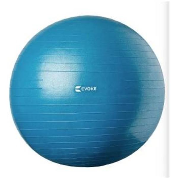 Evoke Guided Exercise Ball – 75cm with Guide