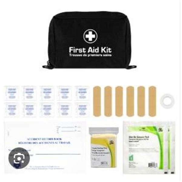 Compact First Aid Kit with Nylon Carry Case