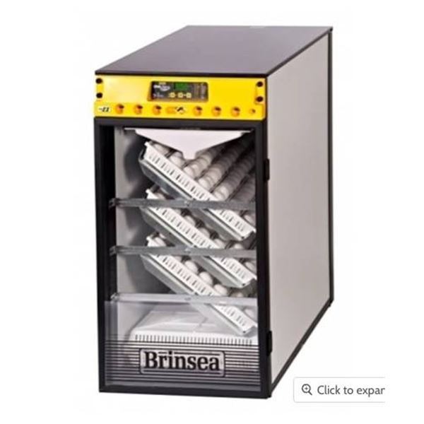 Brinsea OvaEasy 380 Advance Series II 115V Egg Incubator