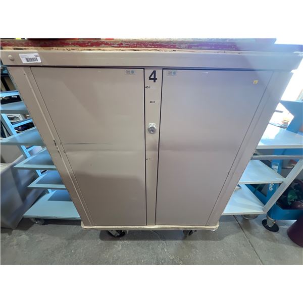 Lionville Medical Storage Cabinet with Locking Mechanism and Shelves