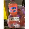 Image 2 : Chubby Bubble Gum Soft Drink 24 x 250ml Bottles
