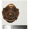 Image 19 : #9 USA Alaska Territorial Police 31 Badge insignia