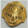 Image 8 : #9 USA Alaska Territorial Police 31 Badge insignia