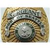 Image 13 : #11 USA Port of Seattle Police Sergeant Shield