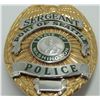 Image 14 : #11 USA Port of Seattle Police Sergeant Shield