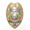 Image 1 : #11 USA Port of Seattle Police Sergeant Shield