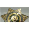 Image 11 : #12 USA Deputy Sherrif King County 275 Badge