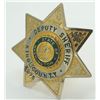 Image 18 : #12 USA Deputy Sherrif King County 275 Badge