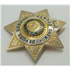 Image 6 : #12 USA Deputy Sherrif King County 275 Badge