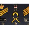 Image 15 : #18 RCMP Framed Badge Collection 40 + Mini Medals