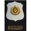 Image 17 : #18 RCMP Framed Badge Collection 40 + Mini Medals