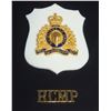 Image 19 : #18 RCMP Framed Badge Collection 40 + Mini Medals