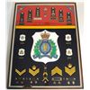 Image 1 : #18 RCMP Framed Badge Collection 40 + Mini Medals