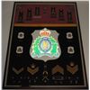 Image 2 : #18 RCMP Framed Badge Collection 40 + Mini Medals