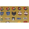 Image 12 : #243 FRAMED RCMP PIN COLLECTION 230+ PIN INSIGNIA