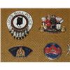 Image 17 : #243 FRAMED RCMP PIN COLLECTION 230+ PIN INSIGNIA