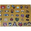 Image 6 : #243 FRAMED RCMP PIN COLLECTION 230+ PIN INSIGNIA