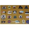 Image 9 : #243 FRAMED RCMP PIN COLLECTION 230+ PIN INSIGNIA