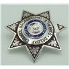 Image 17 : #404 POLICE BADGE SALESMAN SAMPLES BLACKINGTON