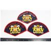 Image 1 : #420 LOT OF 3 VARIATIONS CALGARY POLICE PATCHES