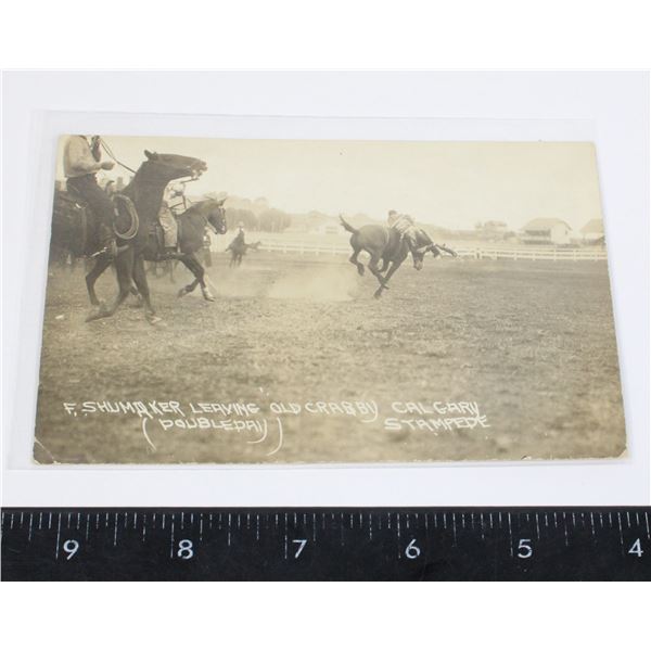 #1404 1931 RPPC CALGARY STAMPEDE PHOTO OLD CRABBY
