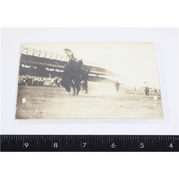 #1412 1916 PRAIRE ROS COWGIRL NEW YORK USA RPPC