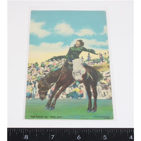 #1415 POSTCARD TED LUCAS ON HELL CAT BY DOUBLEDAY