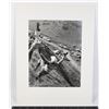 Image 1 : #1687 ORIGINAL 1970S DIRT BIKE RACE ALBERTA PHOTO