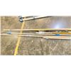 Image 1 : GROUP OF SEVEN PAINTING OR SANDING EXTENSION POLES